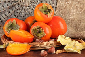 What are the useful properties of persimmons