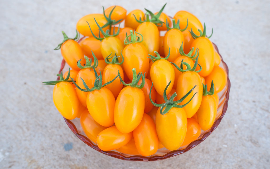 Useful properties of yellow tomatoes!